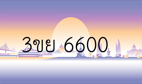 3ขย 6600